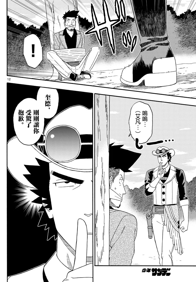 第 12 页