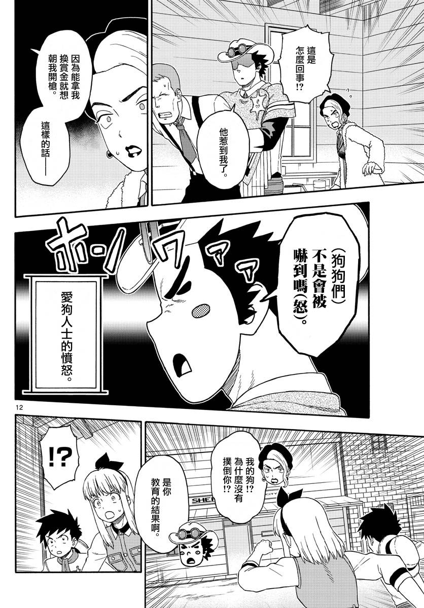 第 12 页