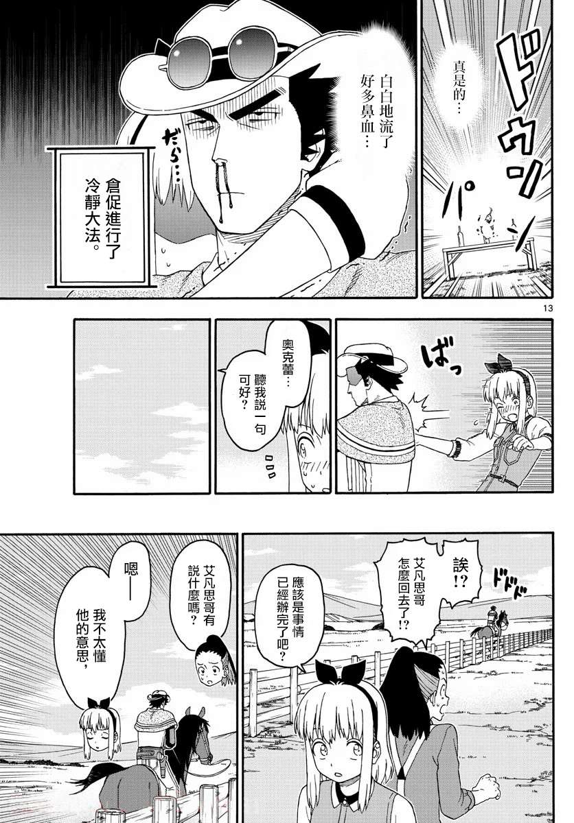 第 13 页