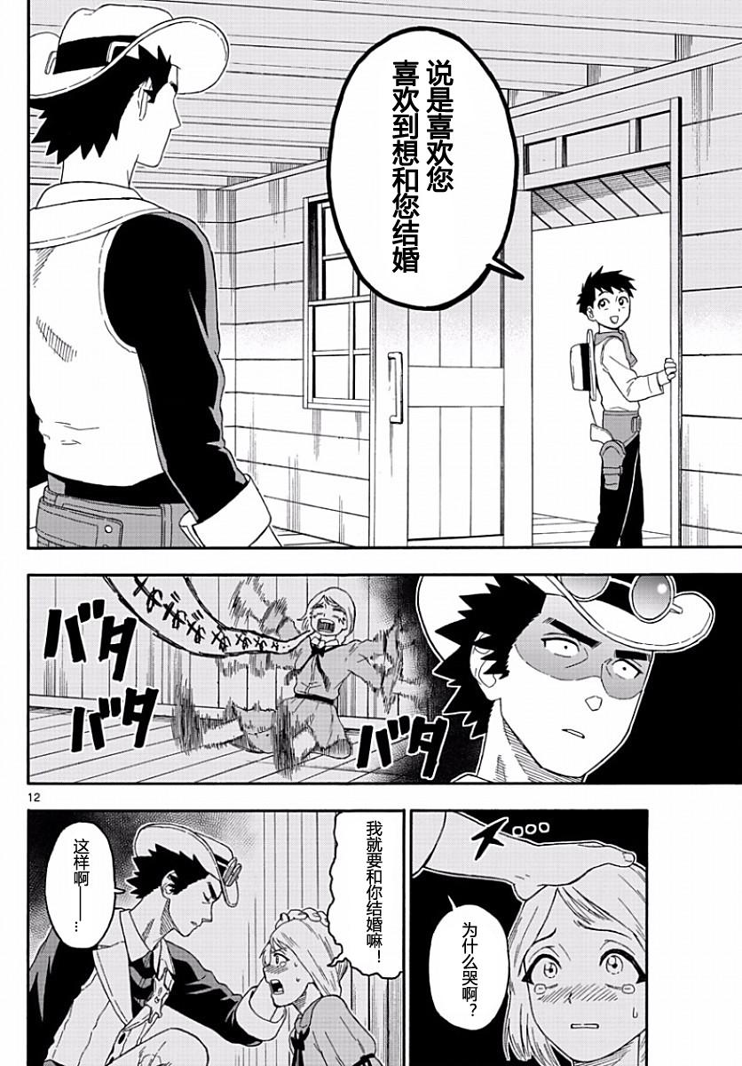 第 12 页