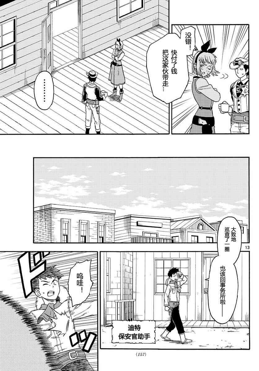 第 13 页