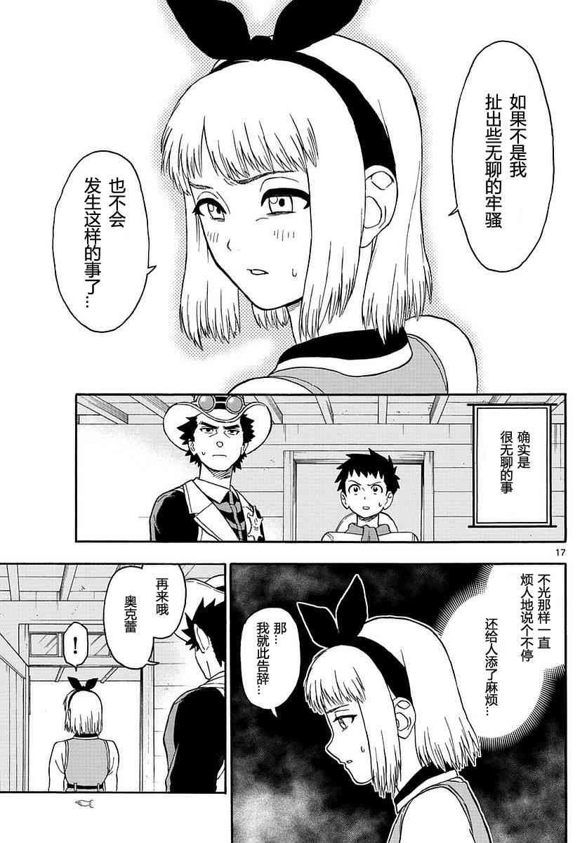 第 17 页