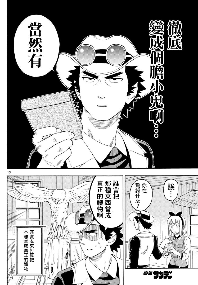 第 13 页