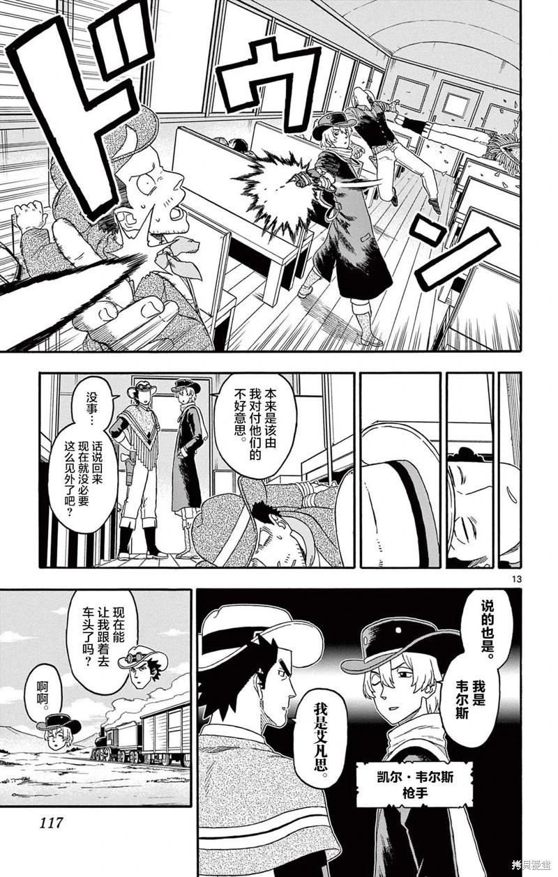 第 13 页