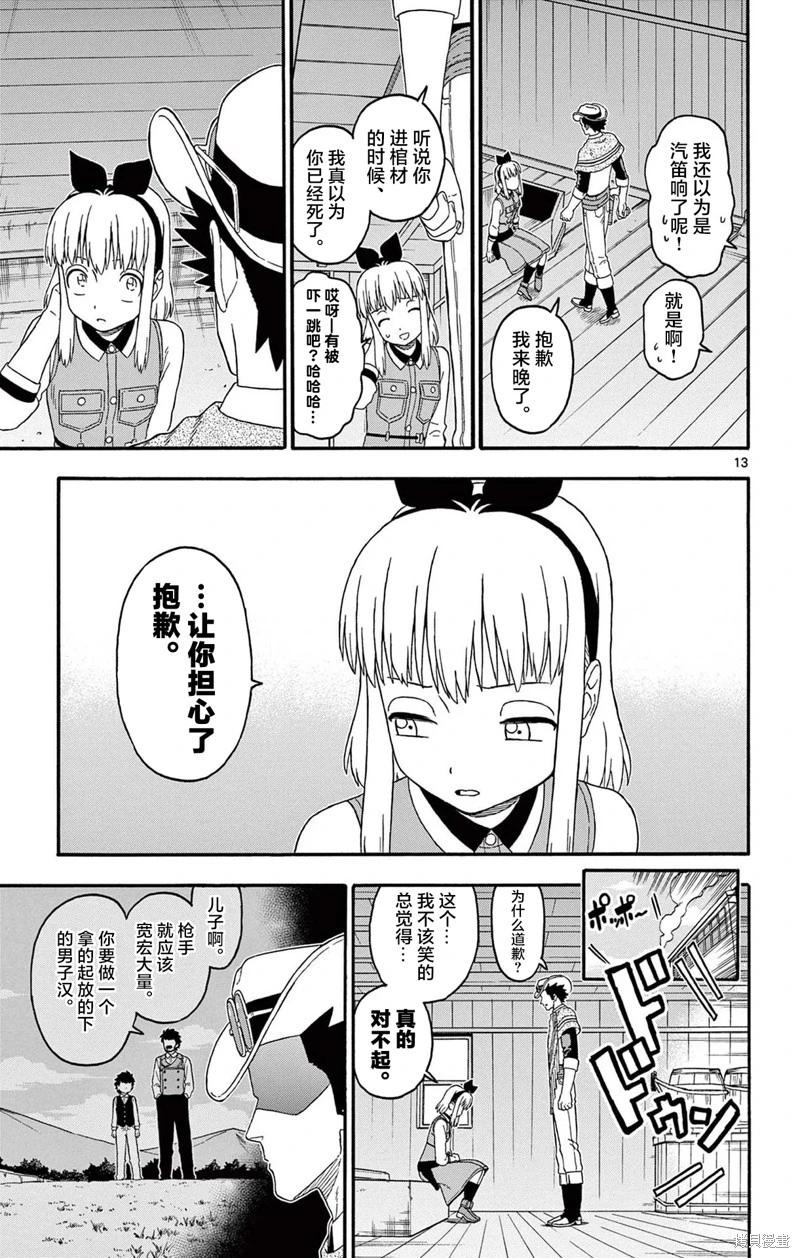 第 13 页