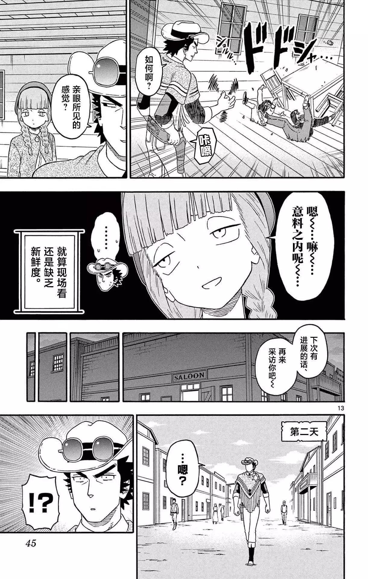 第 13 页