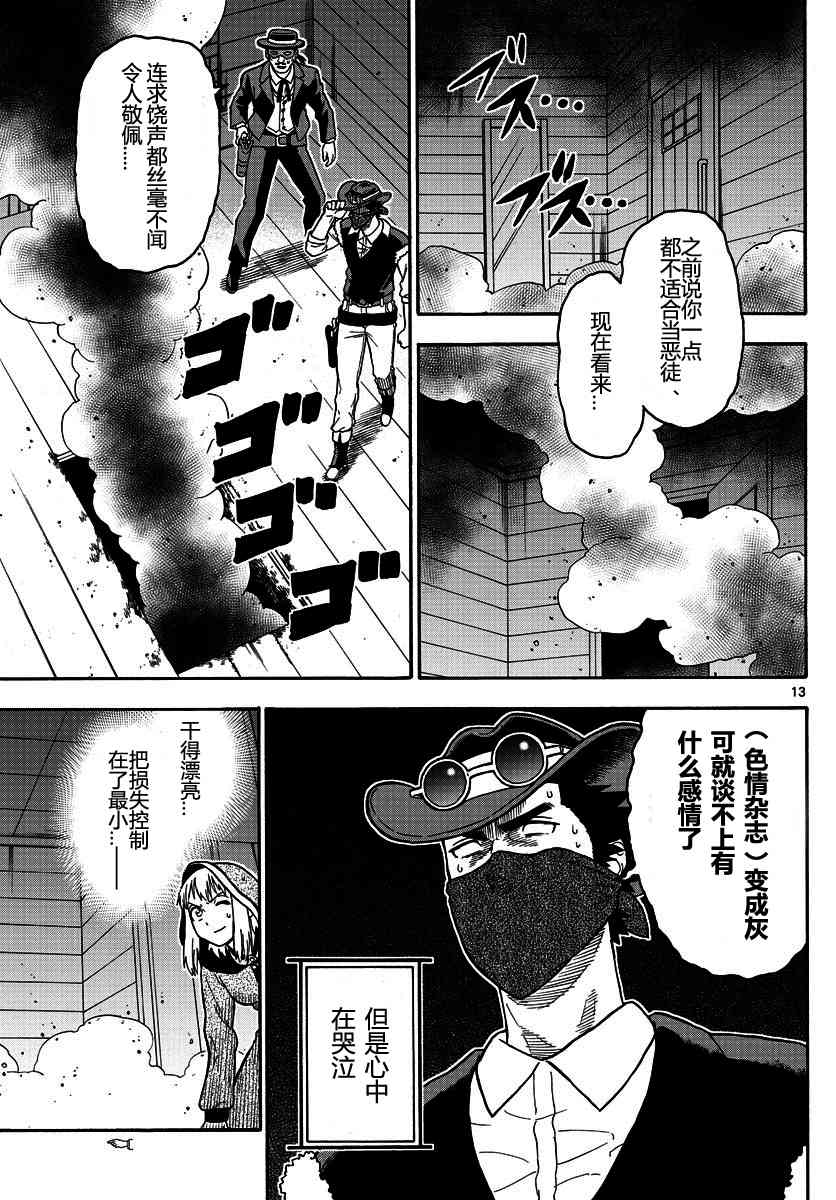 第 13 页