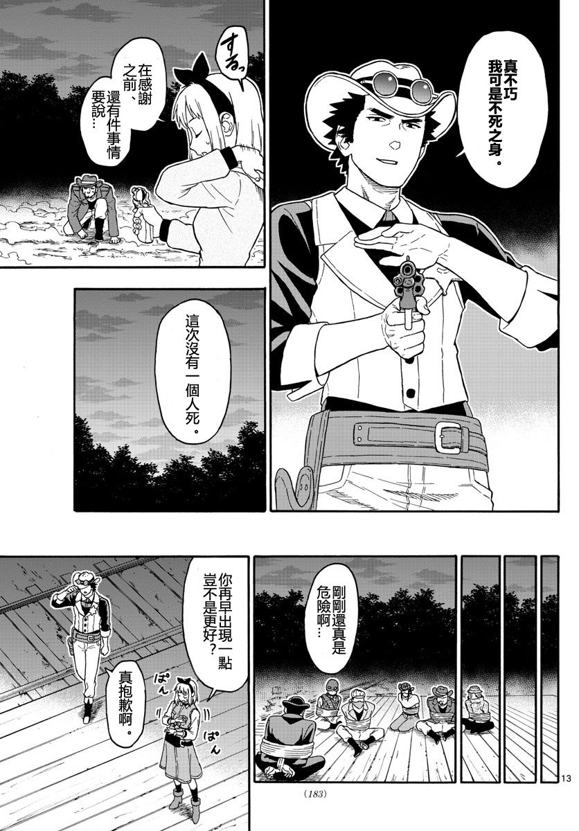 第 13 页