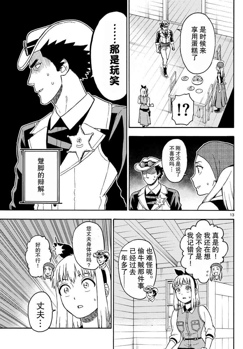 第 13 页