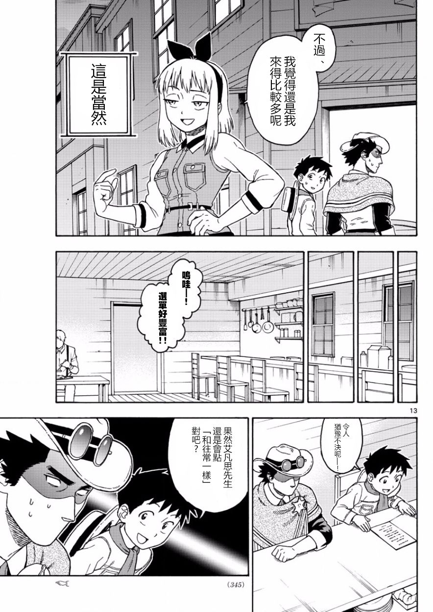 第 13 页