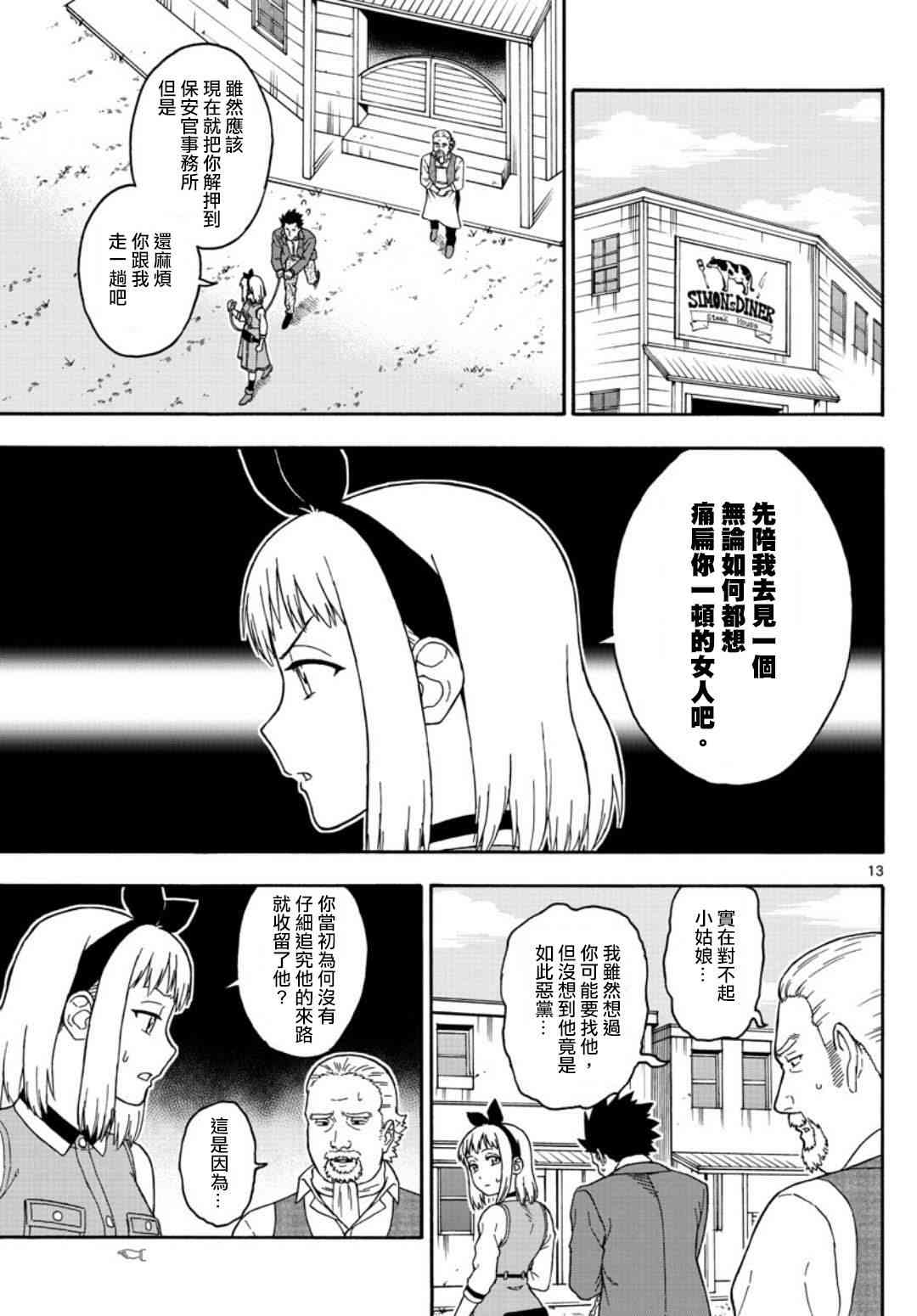 第 13 页