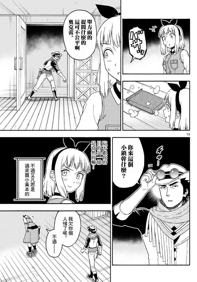 第 13 页