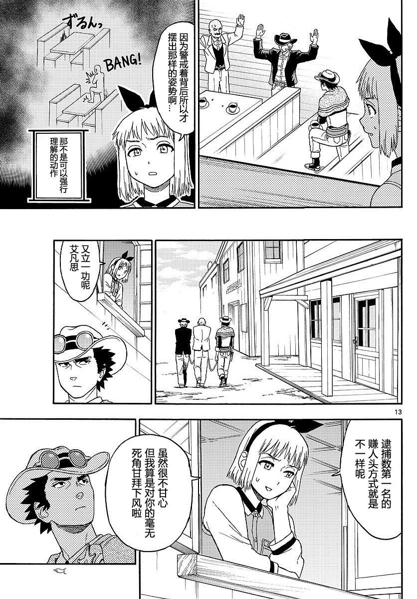 第 13 页
