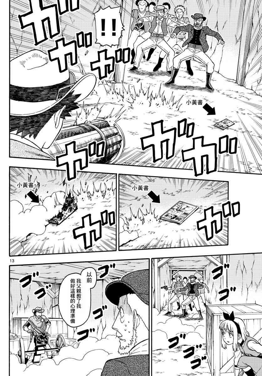 第 13 页