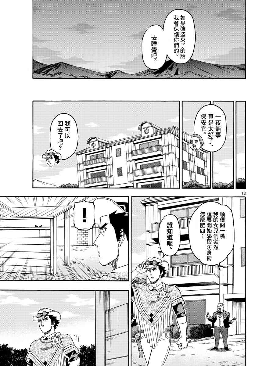 第 13 页