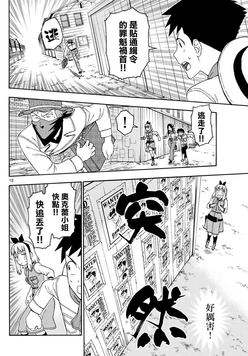 第 12 页
