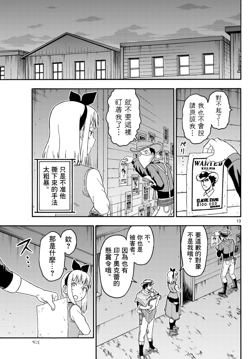 第 13 页