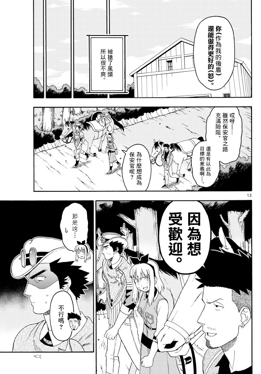 第 13 页