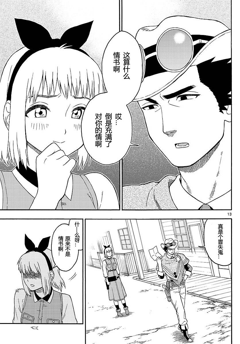 第 13 页