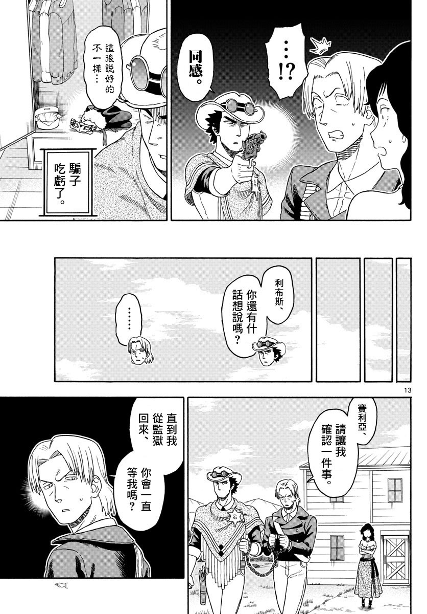 第 13 页