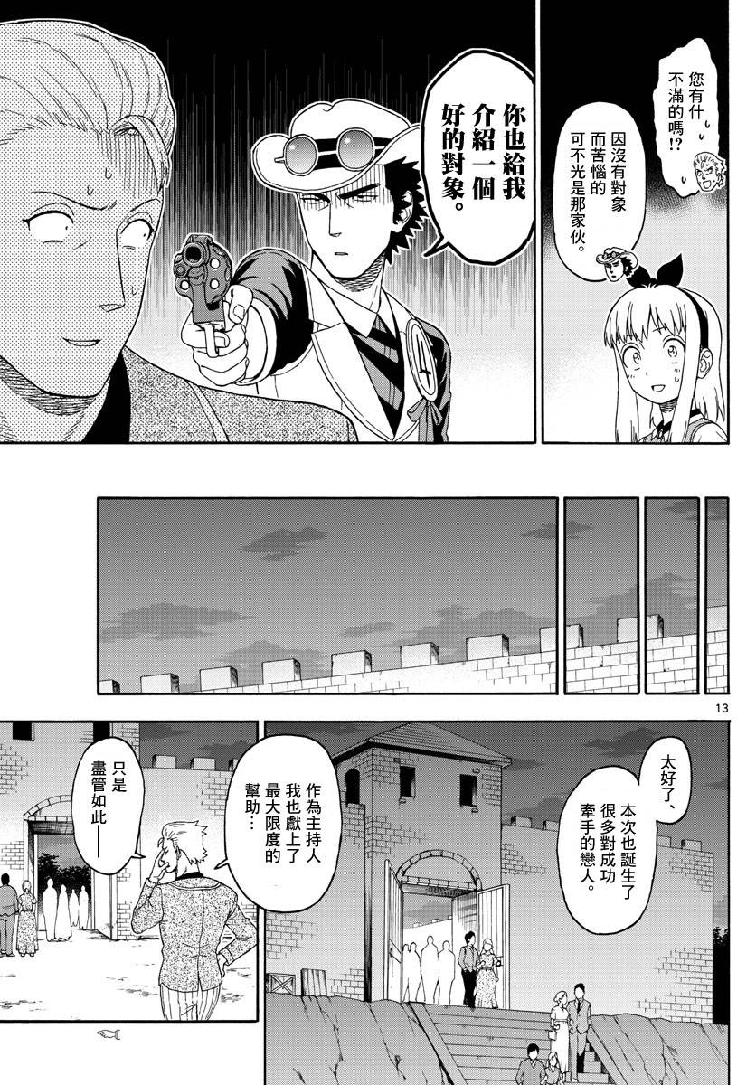 第 13 页