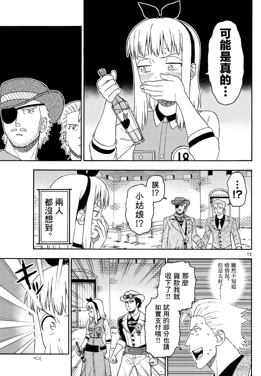 第 13 页