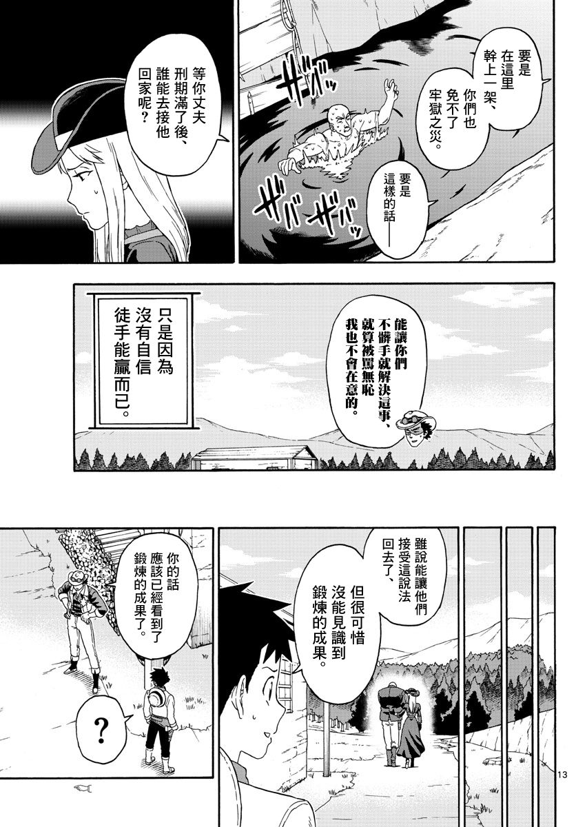 第 13 页
