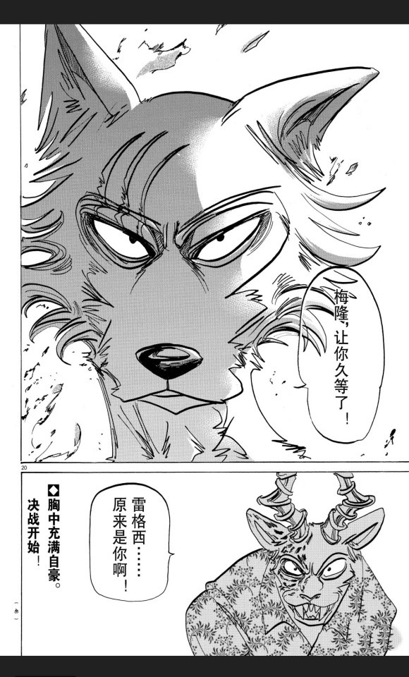 第 20 页