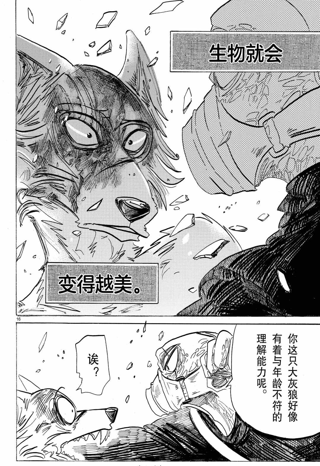 第 16 页