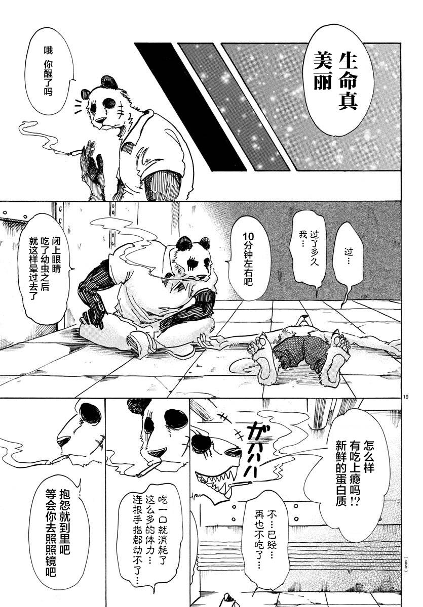第 19 页