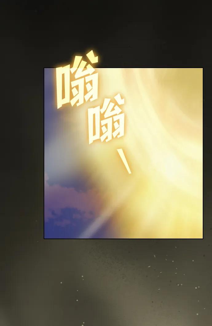 第 110 页