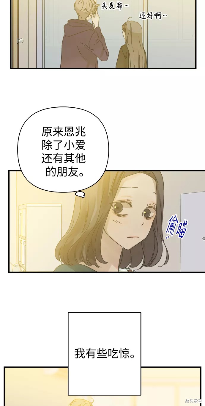 第 41 页