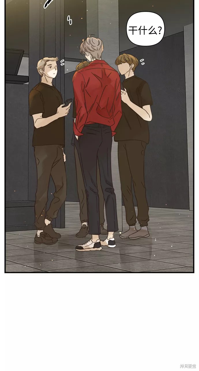 第 46 页