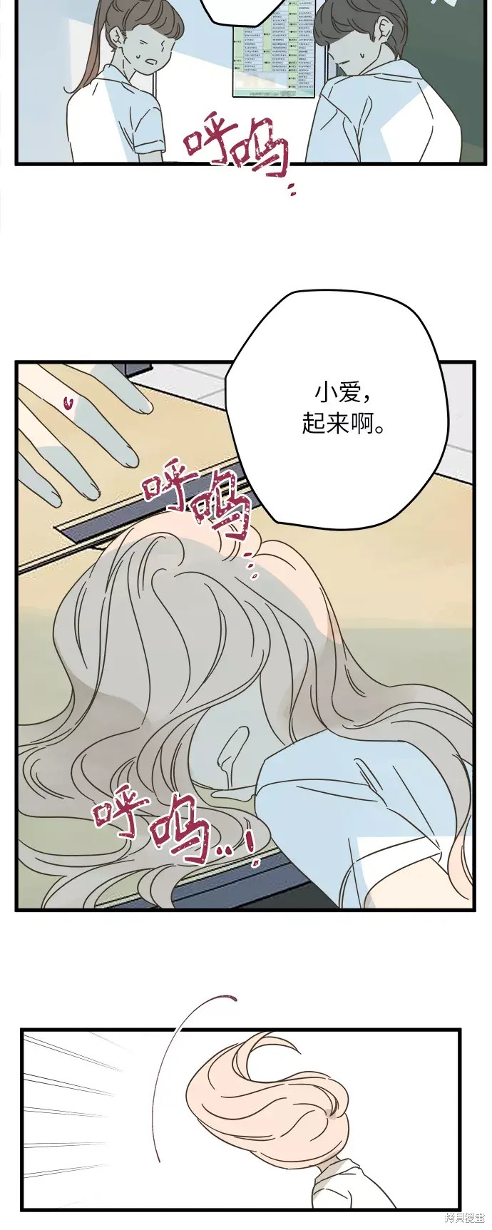 第 48 页