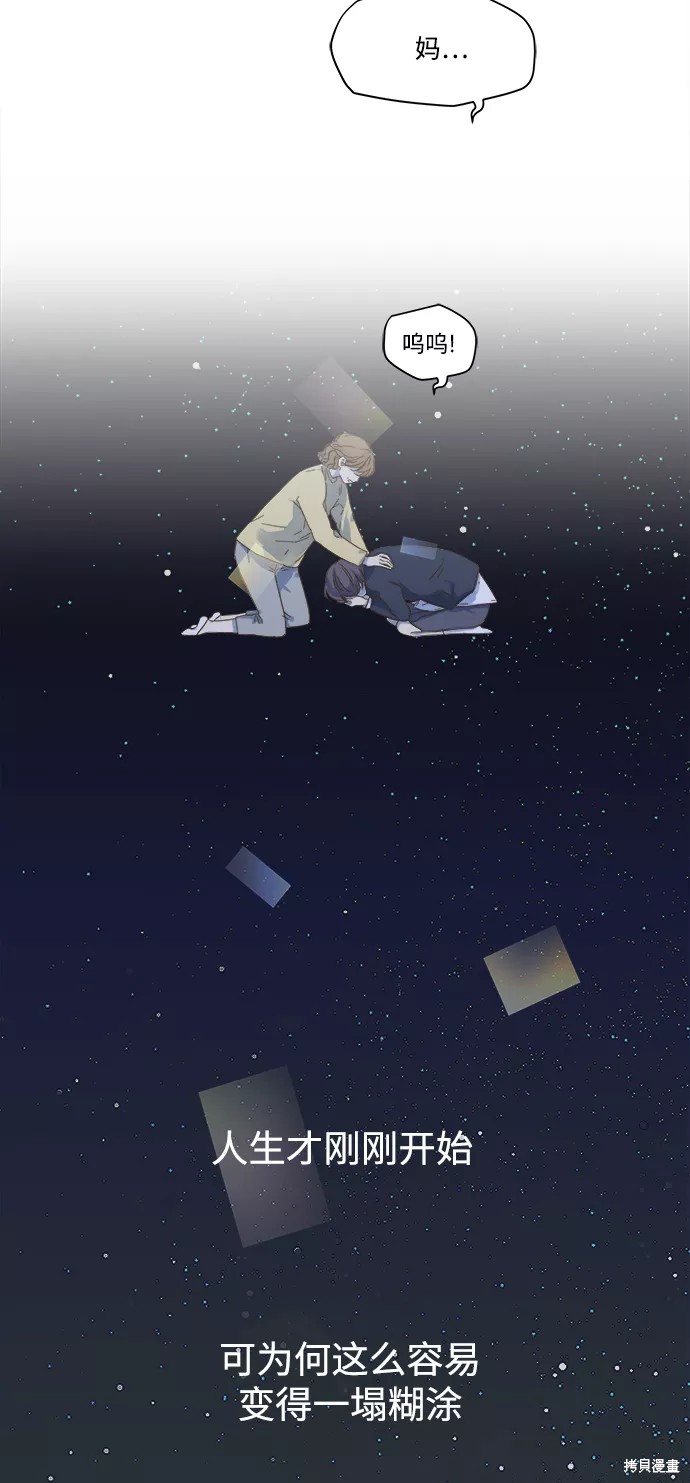 第 41 页
