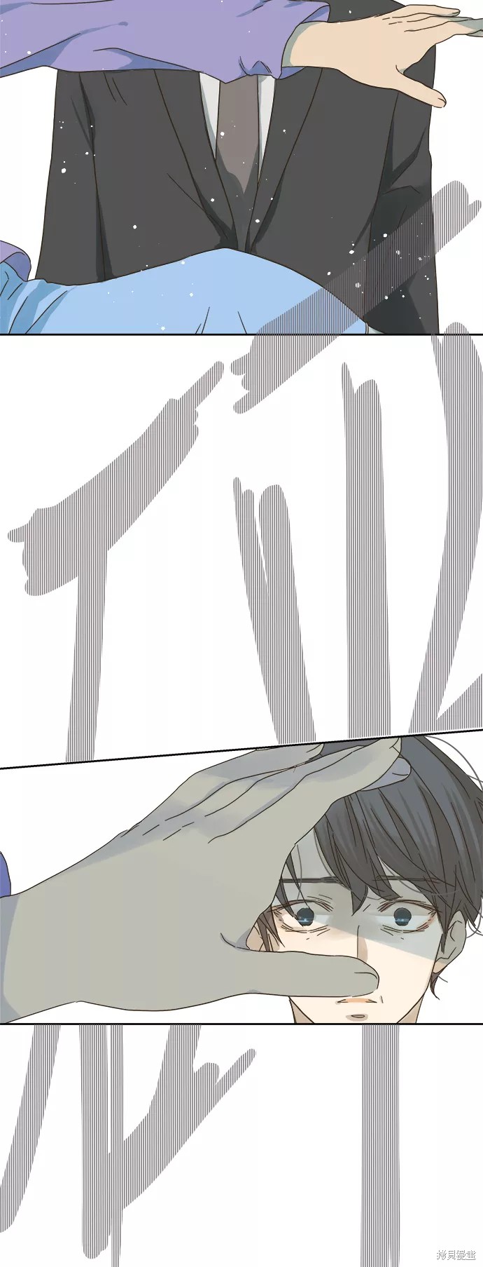 第 51 页
