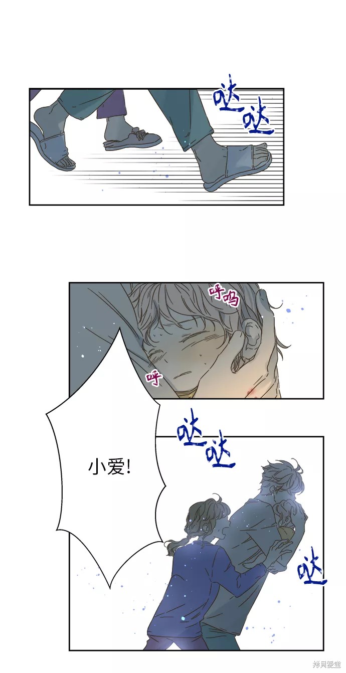 第 46 页