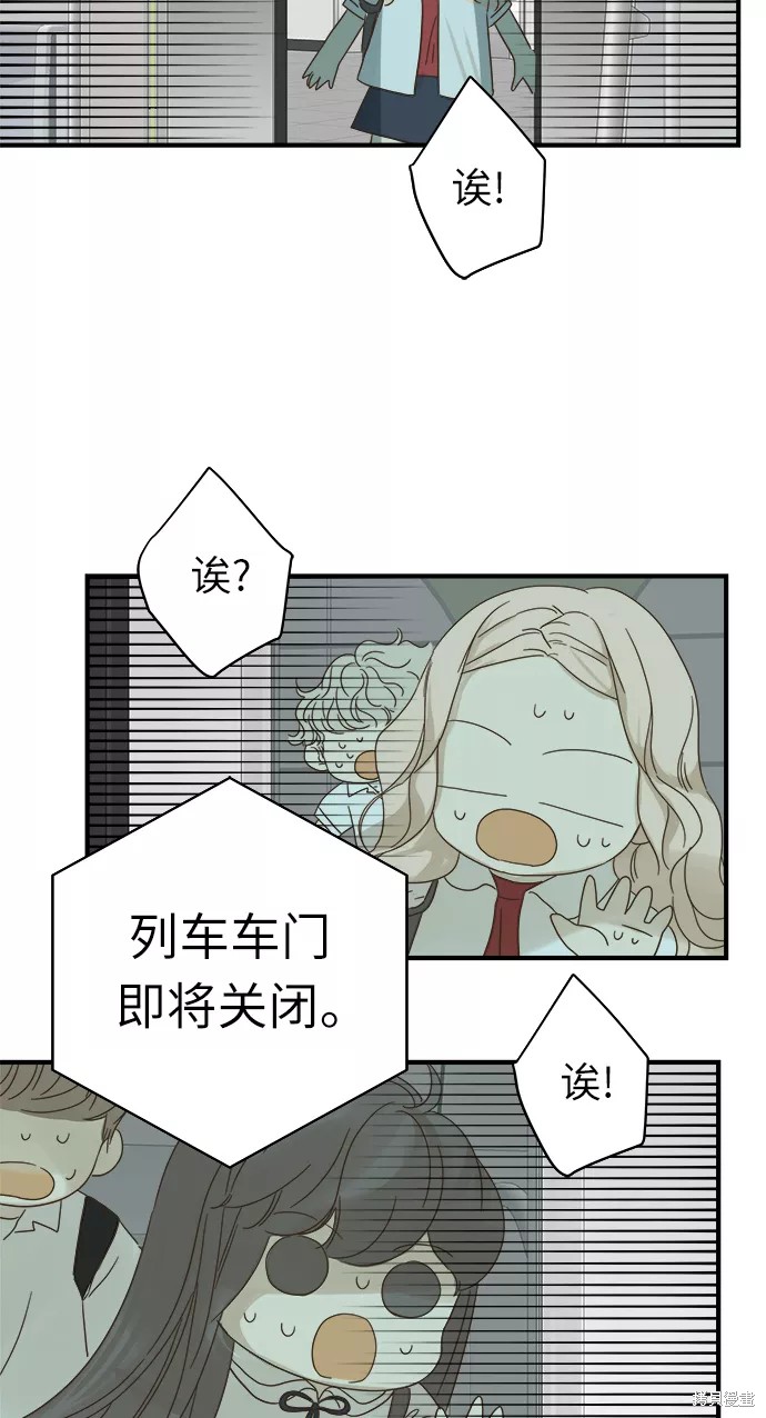 第 51 页