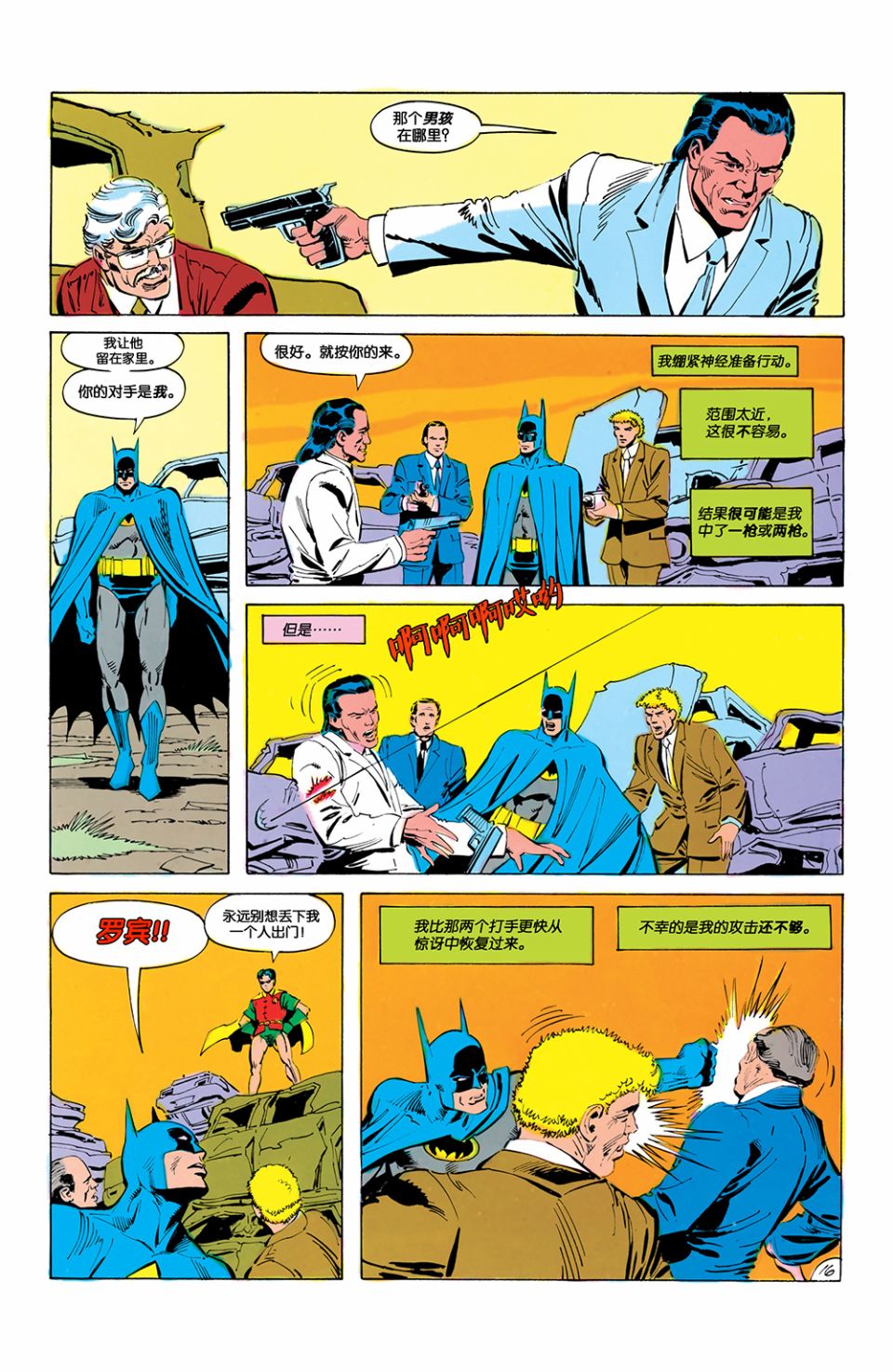 第 17 页