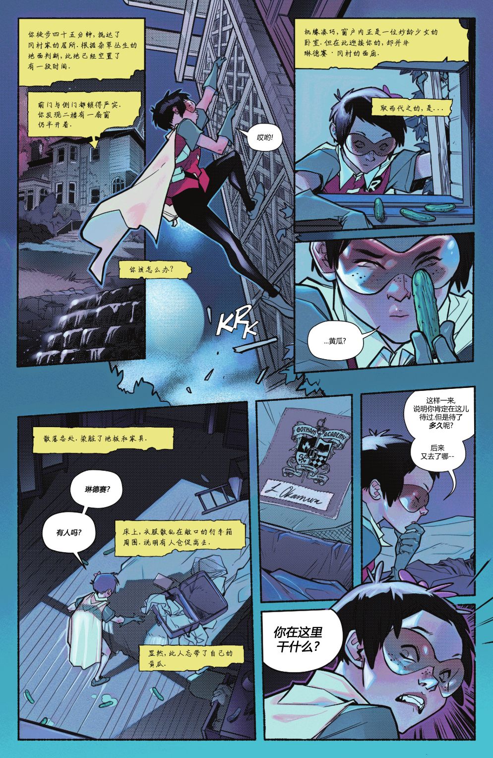 第 28 页