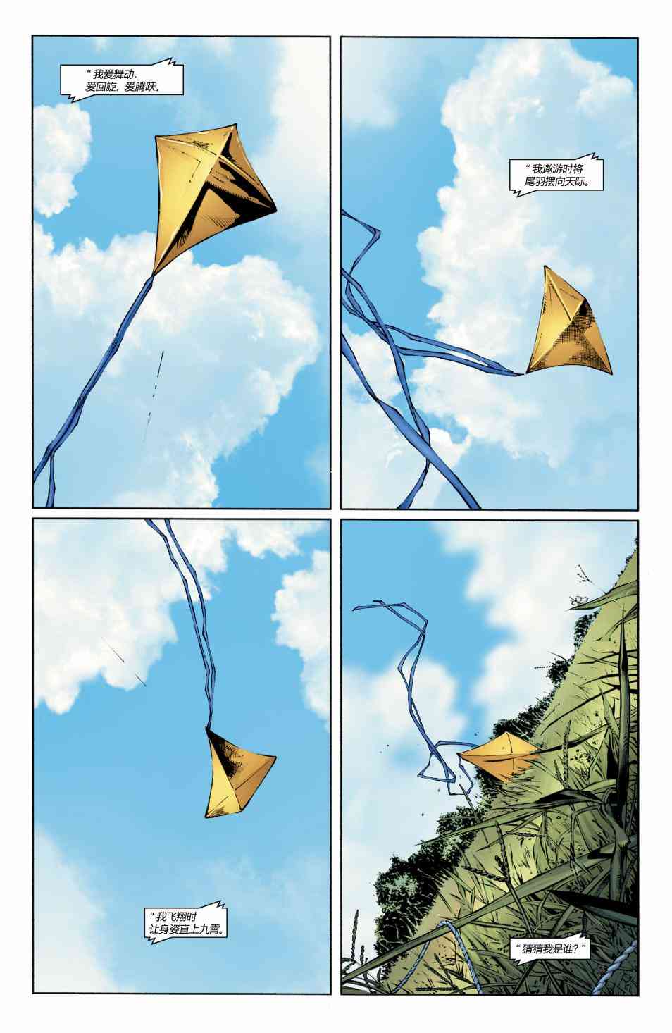 第 17 页