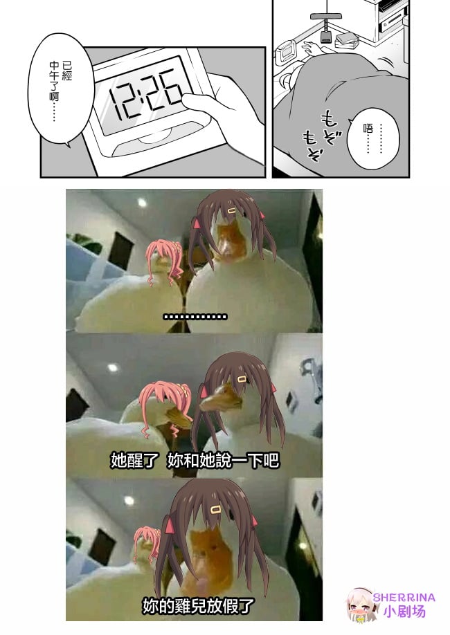 第 10 页