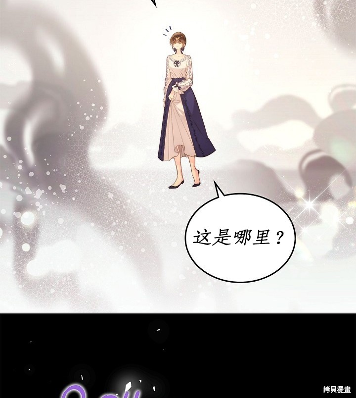 第 53 页