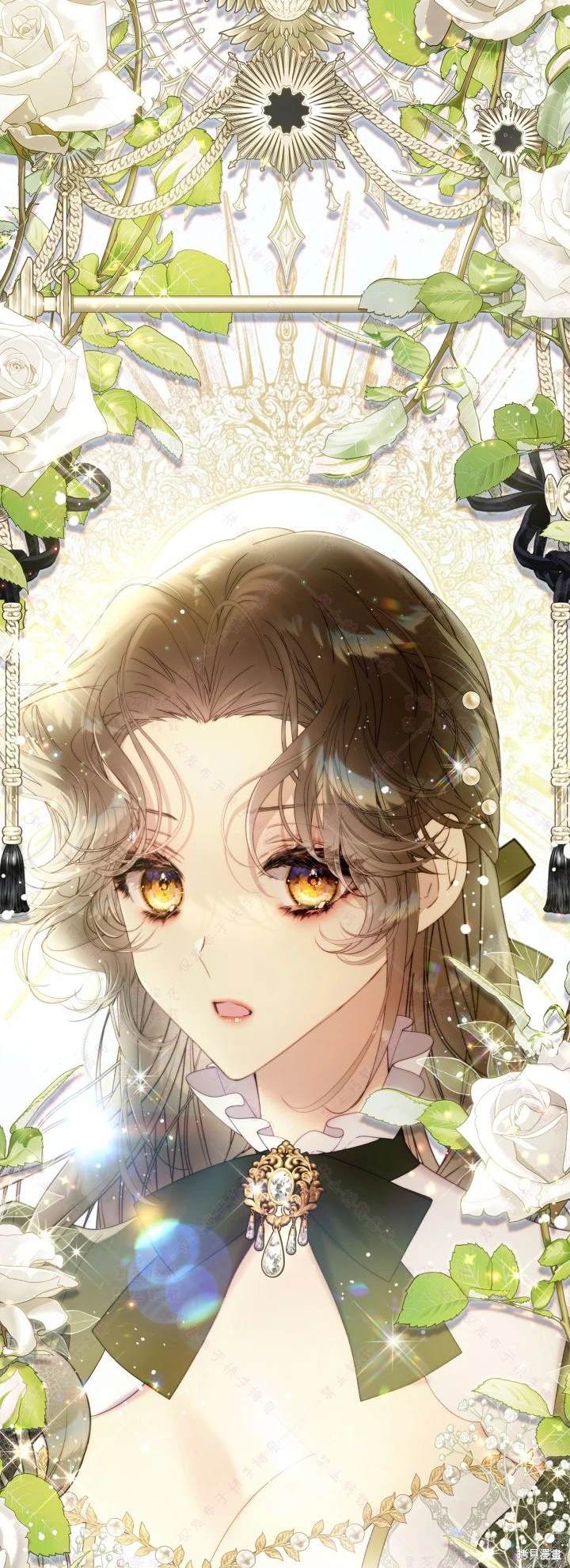 第 46 页