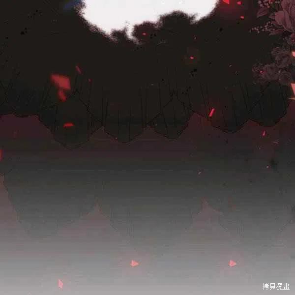 第 111 页