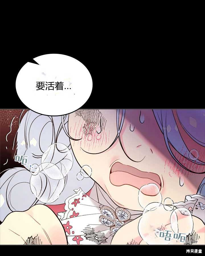 第 111 页