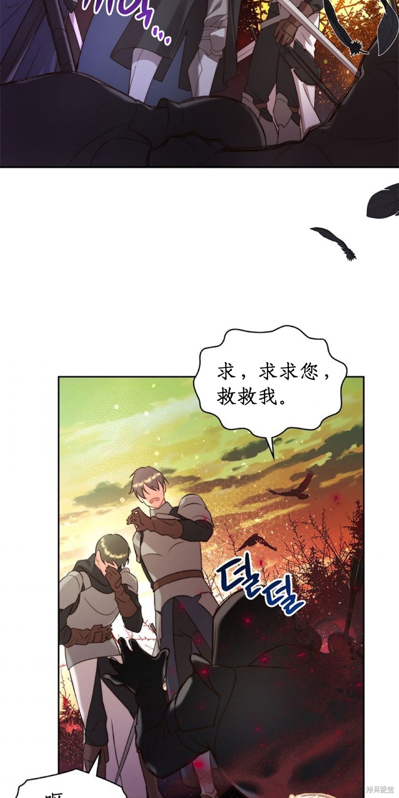 第 52 页