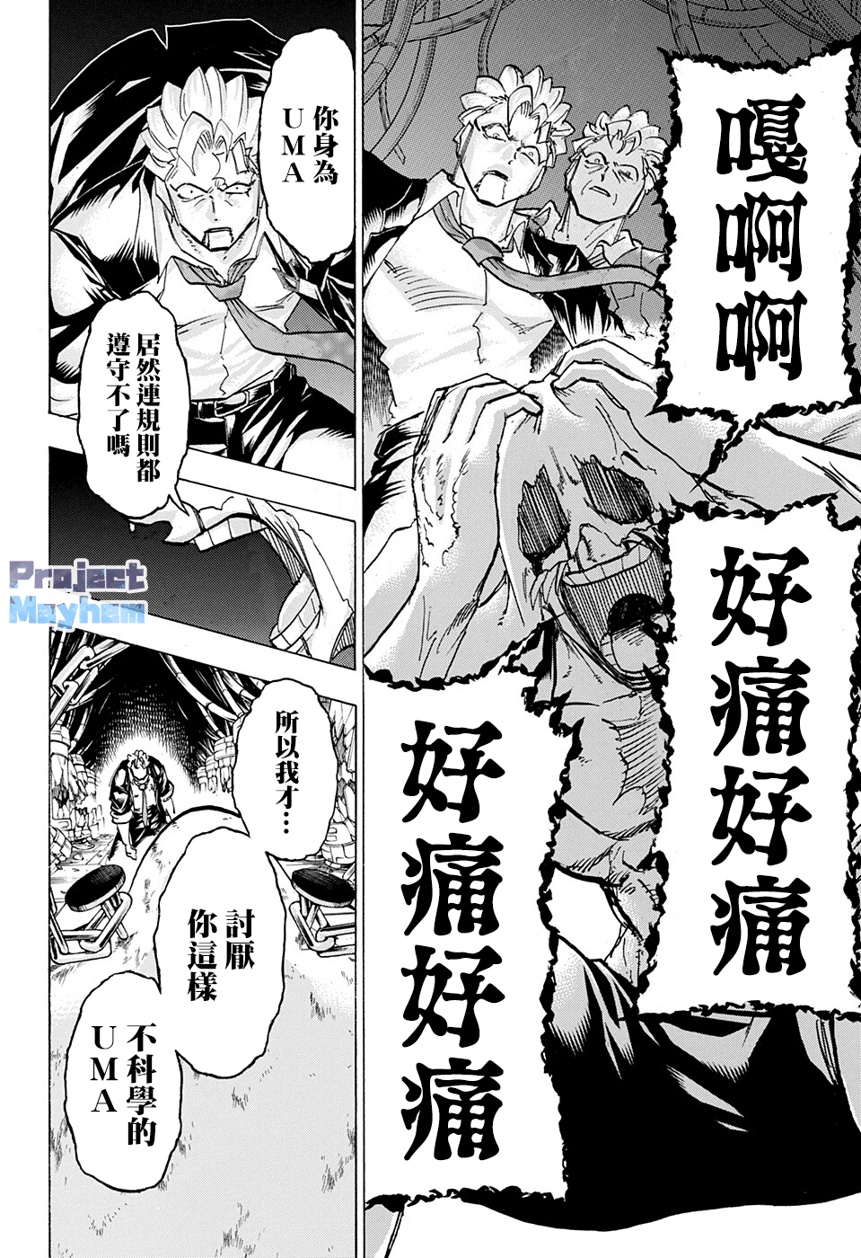 第 13 页