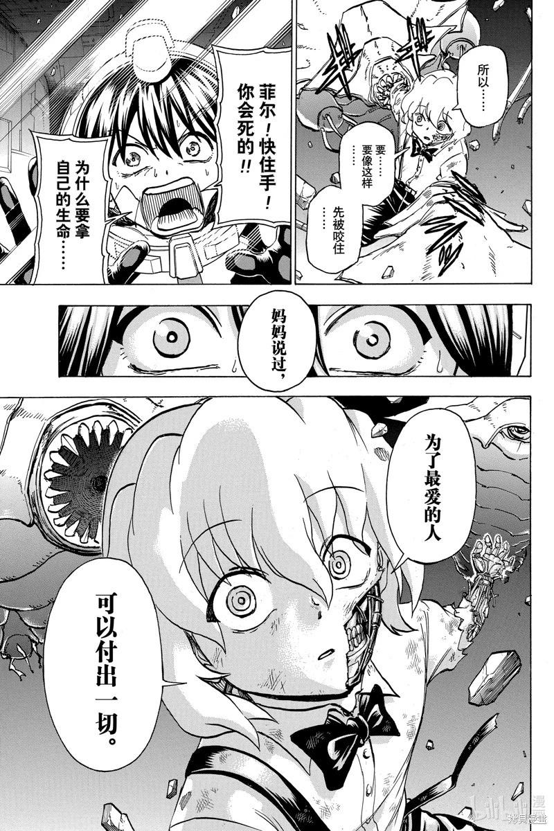 第 17 页