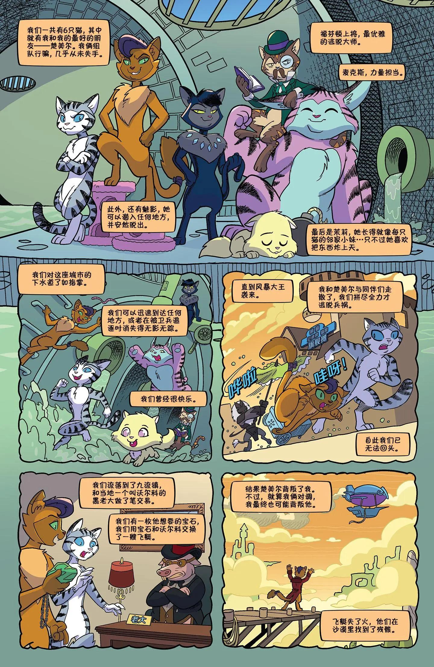 第 6 页